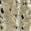 Sea Shell Vest - Natural